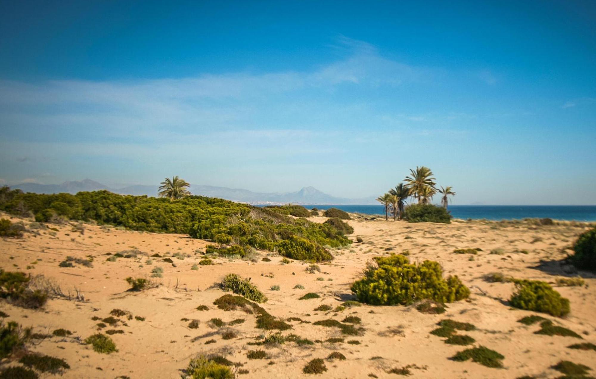 Cozy Apartment In Santa Pola With Kitchen Luaran gambar